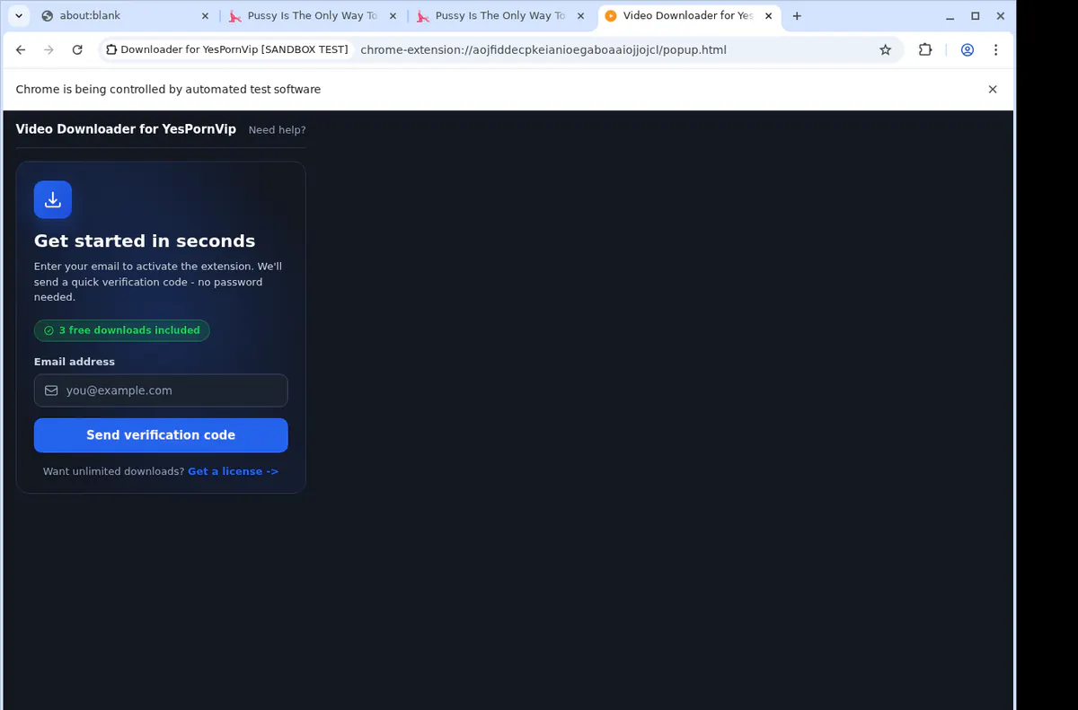 Yespornvip Video Downloader browser extension screenshot 3