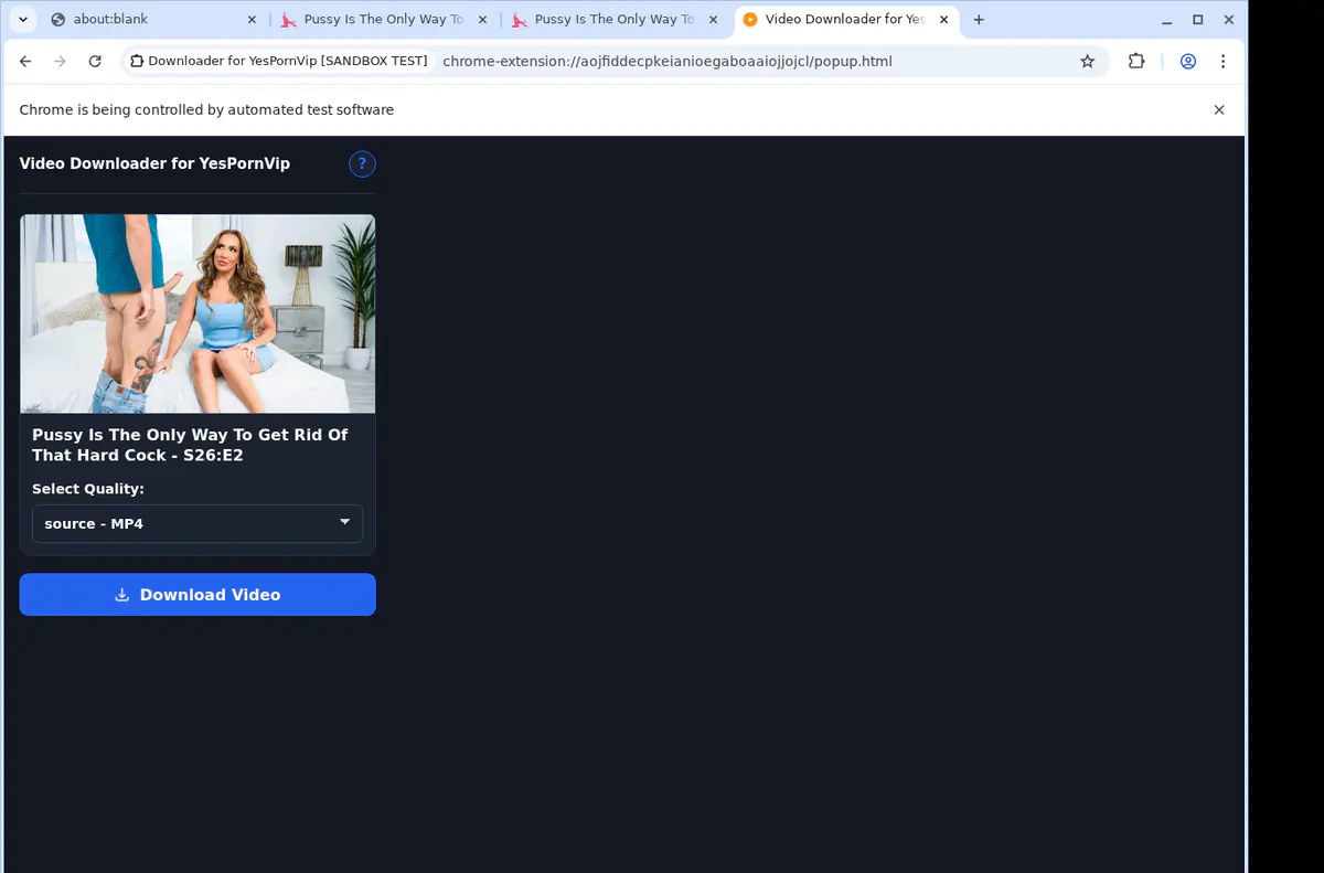 Yespornvip Video Downloader browser extension screenshot 4